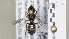  ( - ABOL-25-0060)  @11 [ ] Unspecified (default): All Rights Reserved (2025) Naturhistorisches Museum Wien Unspecified