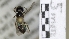  ( - ABOL-25-0066)  @11 [ ] Unspecified (default): All Rights Reserved (2025) Naturhistorisches Museum Wien Unspecified