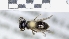  ( - ABOL-25-0067)  @11 [ ] Unspecified (default): All Rights Reserved (2025) Naturhistorisches Museum Wien Unspecified