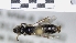  ( - ABOL-25-0068)  @11 [ ] Unspecified (default): All Rights Reserved (2025) Naturhistorisches Museum Wien Unspecified