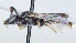  ( - ABOL-25-0068)  @11 [ ] Unspecified (default): All Rights Reserved (2025) Naturhistorisches Museum Wien Unspecified