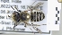  ( - ABOL-25-0070)  @11 [ ] Unspecified (default): All Rights Reserved (2025) Naturhistorisches Museum Wien Unspecified