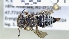  ( - ABOL-25-0073)  @11 [ ] Unspecified (default): All Rights Reserved (2025) Naturhistorisches Museum Wien Unspecified