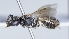  ( - ABOL-25-0078)  @11 [ ] Unspecified (default): All Rights Reserved (2025) Naturhistorisches Museum Wien Unspecified