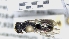  ( - ABOL-25-0081)  @11 [ ] Unspecified (default): All Rights Reserved (2025) Naturhistorisches Museum Wien Unspecified