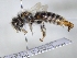  ( - ABOL-25-0092)  @11 [ ] Unspecified (default): All Rights Reserved (2025) Naturhistorisches Museum Wien Unspecified