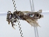  ( - ABOL-25-0098)  @11 [ ] Unspecified (default): All Rights Reserved (2025) Naturhistorisches Museum Wien Unspecified