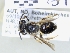  ( - ABOL-25-0099)  @11 [ ] Unspecified (default): All Rights Reserved (2025) Naturhistorisches Museum Wien Unspecified