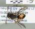  ( - ABOL-25-0111)  @11 [ ] Unspecified (default): All Rights Reserved (2025) Naturhistorisches Museum Wien Unspecified