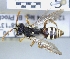  ( - ABOL-25-0115)  @11 [ ] Unspecified (default): All Rights Reserved (2025) Naturhistorisches Museum Wien Unspecified