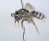  ( - ABOL-25-0121)  @11 [ ] Unspecified (default): All Rights Reserved (2025) Naturhistorisches Museum Wien Unspecified
