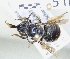  ( - ABOL-25-0139)  @11 [ ] Unspecified (default): All Rights Reserved (2025) Naturhistorisches Museum Wien Unspecified