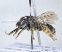  ( - ABOL-25-0139)  @11 [ ] Unspecified (default): All Rights Reserved (2025) Naturhistorisches Museum Wien Unspecified