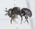  ( - ABOL-25-0149)  @11 [ ] Unspecified (default): All Rights Reserved (2025) Naturhistorisches Museum Wien Unspecified