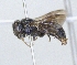  ( - ABOL-25-0150)  @11 [ ] Unspecified (default): All Rights Reserved (2025) Naturhistorisches Museum Wien Unspecified