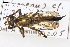  ( - ABOL-25-1098)  @11 [ ] CC-BY (2025) Naturhistorisches Museum Wien Unspecified
