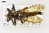  ( - ABOL-25-1099)  @11 [ ] CC-BY (2025) Naturhistorisches Museum Wien Unspecified