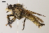  ( - ABOL-25-1099)  @11 [ ] CC-BY (2025) Naturhistorisches Museum Wien Unspecified