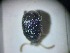  ( - ABOL-BIOBLITZ23-DR013)  @11 [ ] Unspecified (default): All Rights Reserved (2024) Dominik Rabl Unspecified
