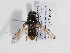  ( - ABOL-BioBlitz-2022-Szucsich-0117)  @11 [ ] Unspecified (default): All Rights Reserved (2025) Naturhistorisches Museum Wien Unspecified