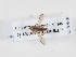  ( - ABOL-BioBlitz-2022-Szucsich-0203)  @11 [ ] Unspecified (default): All Rights Reserved (2025) Naturhistorisches Museum Wien Unspecified