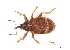  ( - ABOL-BioBlitz21-0383)  @11 [ ] Unspecified (default): All Rights Reserved (2024) Werner Hinterstoisser Unspecified