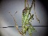  ( - ABOL-BioBlitz23-0819)  @11 [ ] Unspecified (default): All Rights Reserved (2024) Dominik Rabl Unspecified