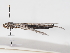  ( - ABOL-RefDat-2024-Szucsich-Lobau-0018)  @11 [ ] Unspecified (default): All Rights Reserved (2025) Naturhistorisches Museum Wien Unspecified