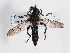  ( - ABOL-Tettris-2024-Szucsich-LeoBg-0002)  @11 [ ] Unspecified (default): All Rights Reserved (2025) Naturhistorisches Museum Wien Unspecified