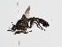  ( - ABOL-Tettris-2024-Szucsich-LeoBg-0004)  @11 [ ] Unspecified (default): All Rights Reserved (2025) Naturhistorisches Museum Wien Unspecified