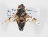  ( - ABOL-Tettris-2024-Szucsich-LeoBg-0005)  @11 [ ] Unspecified (default): All Rights Reserved (2025) Naturhistorisches Museum Wien Unspecified