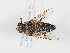  ( - ABOL-Tettris-2024-Szucsich-LeoBg-0015)  @11 [ ] Unspecified (default): All Rights Reserved (2025) Naturhistorisches Museum Wien Unspecified