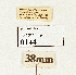 ( - NHMW2.Lep.0144)  @11 [ ] Unspecified (default): All Rights Reserved (2025) P. Huemer Unspecified