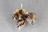  ( - ABOL-Bioblitz 2020-0025)  @11 [ ] CC-BY-SA (2021) Streinzer M. privat
