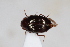  ( - ABOL-24-0941)  @11 [ ] Unspecified (default): All Rights Reserved (2024) Sebastian Ploner Unspecified
