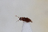  ( - ABOL-24-1013)  @11 [ ] Unspecified (default): All Rights Reserved (2024) Sebastian Ploner Unspecified