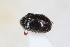  ( - ABOL-24-1016)  @11 [ ] Unspecified (default): All Rights Reserved (2024) Sebastian Ploner Unspecified
