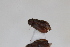  ( - ABOL-24-1019)  @11 [ ] Unspecified (default): All Rights Reserved (2024) Sebastian Ploner Unspecified