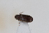  ( - ABOL-24-1022)  @11 [ ] Unspecified (default): All Rights Reserved (2024) Sebastian Ploner Unspecified