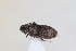  ( - ABOL-24-1025)  @11 [ ] Unspecified (default): All Rights Reserved (2024) Sebastian Ploner Unspecified