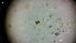 ( - ABOL-24-1343)  @11 [ ] Unspecified (default): All Rights Reserved (2025) Johannes Schall Unspecified