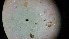  ( - ABOL-24-1343)  @11 [ ] Unspecified (default): All Rights Reserved (2025) Johannes Schall Unspecified