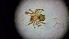  ( - ABOL-24-1345)  @11 [ ] Unspecified (default): All Rights Reserved (2025) Johannes Schall Unspecified