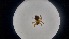  ( - ABOL-24-1345)  @11 [ ] Unspecified (default): All Rights Reserved (2025) Johannes Schall Unspecified