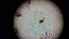  ( - ABOL-24-1348)  @11 [ ] Unspecified (default): All Rights Reserved (2025) Johannes Schall Unspecified
