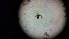  ( - ABOL-24-1348)  @11 [ ] Unspecified (default): All Rights Reserved (2025) Johannes Schall Unspecified