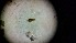  ( - ABOL-24-1348)  @11 [ ] Unspecified (default): All Rights Reserved (2025) Johannes Schall Unspecified