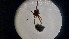  ( - ABOL-24-1350)  @11 [ ] Unspecified (default): All Rights Reserved (2025) Johannes Schall Unspecified