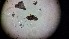  ( - ABOL-24-1347)  @11 [ ] Unspecified (default): All Rights Reserved (2025) Johannes Schall Unspecified