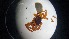  ( - ABOL-24-1353)  @11 [ ] Unspecified (default): All Rights Reserved (2025) Johannes Schall Unspecified